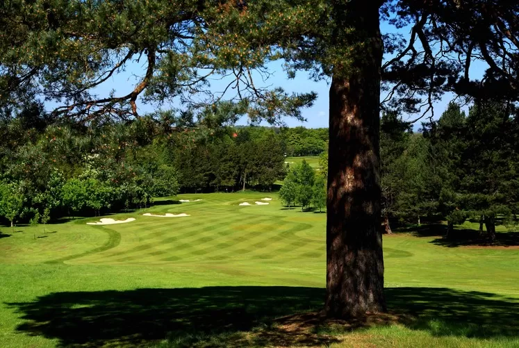 Bruntsfield Links Golf Course in Edinburgh