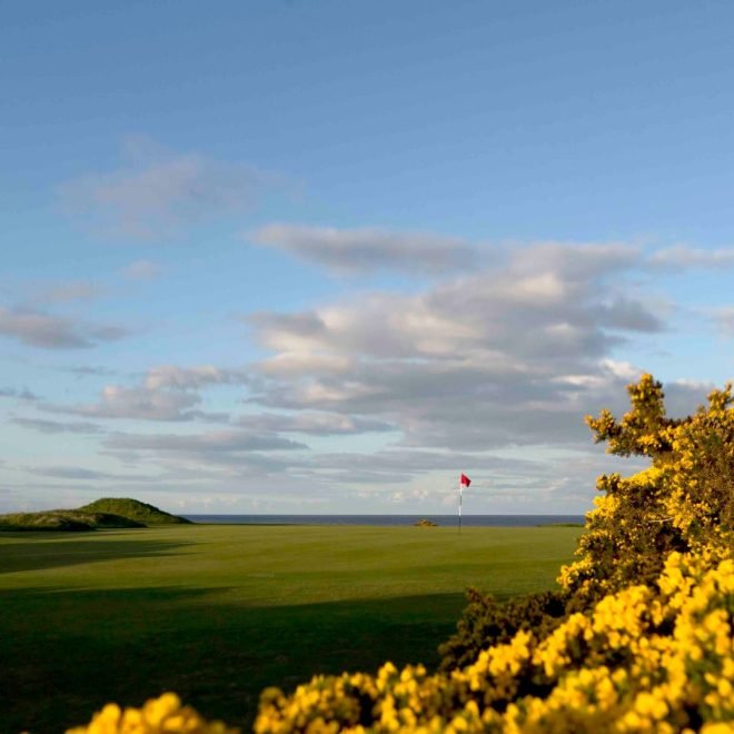 Royal Dornoch 16th
